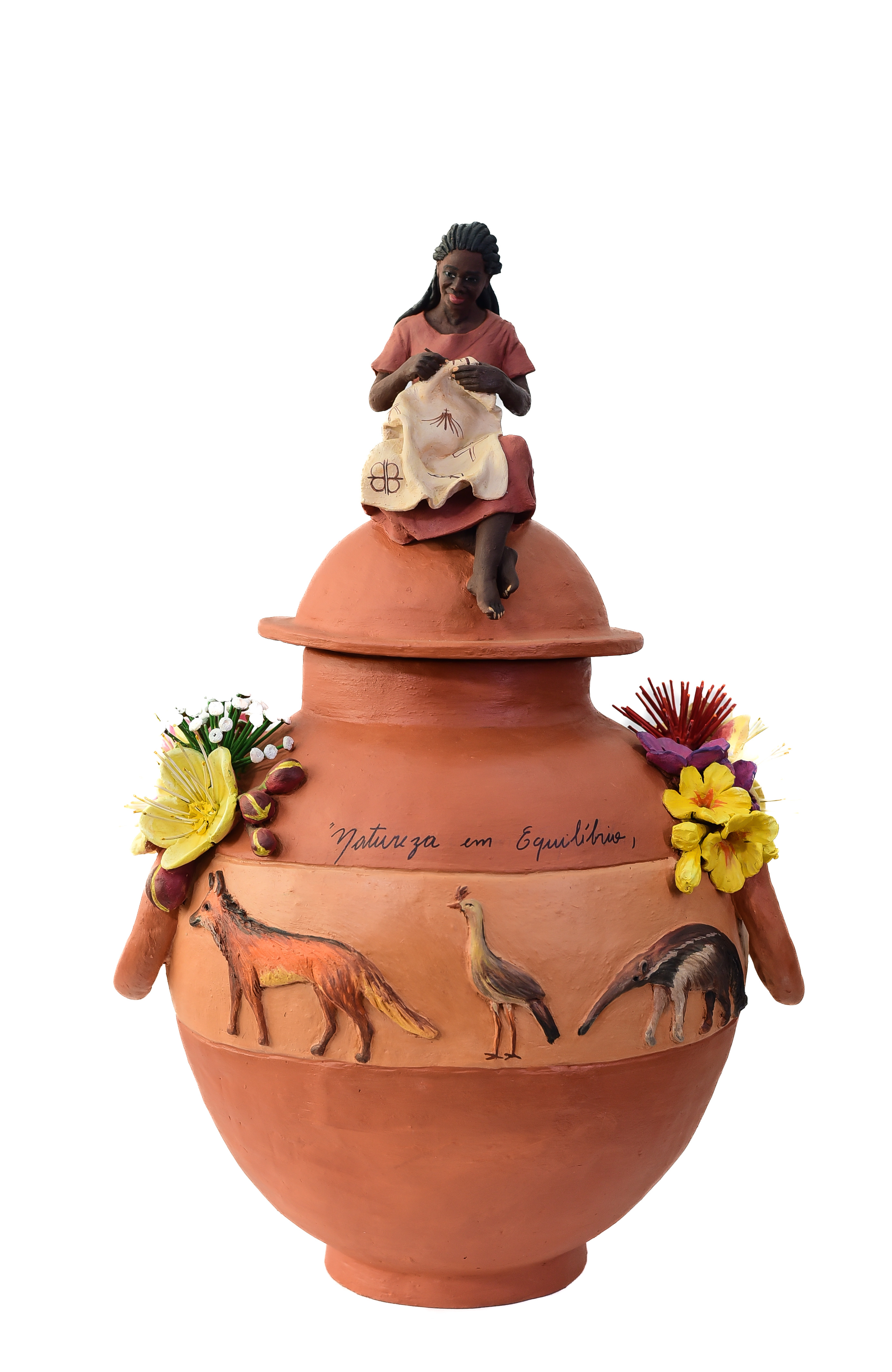 A Guardiã do Cerrado Brasiliense