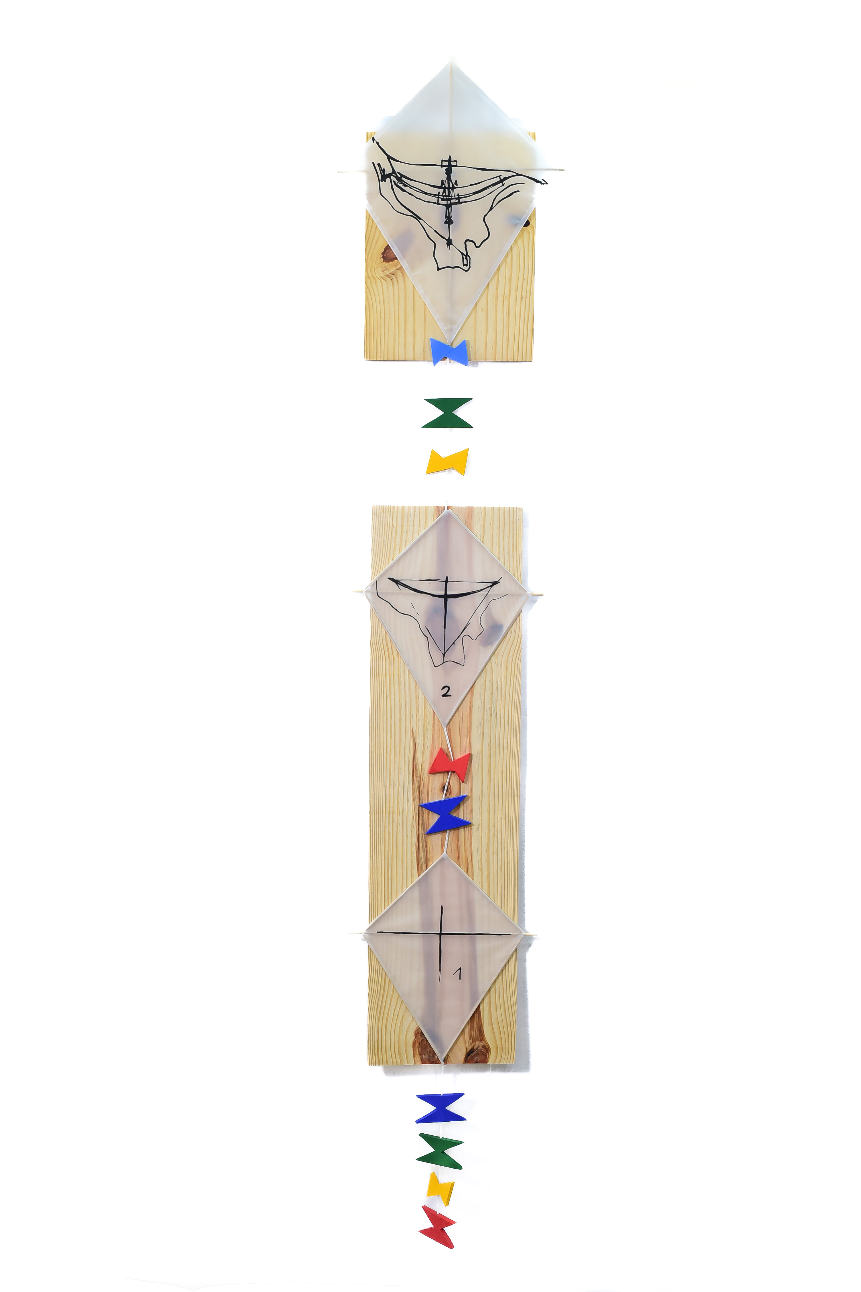 O Voo da Criação