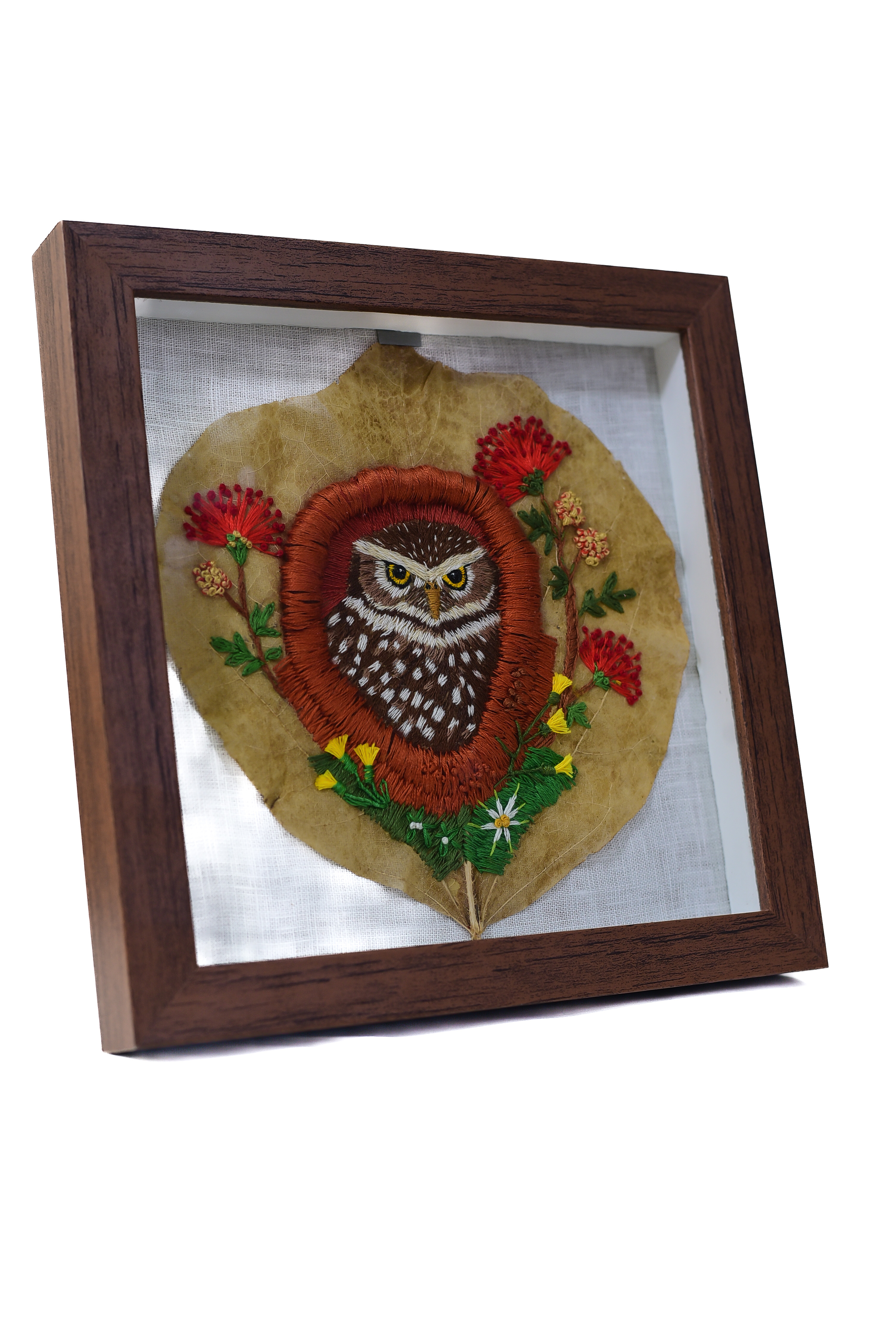 Pintura de agulha Coruja buraqueira 