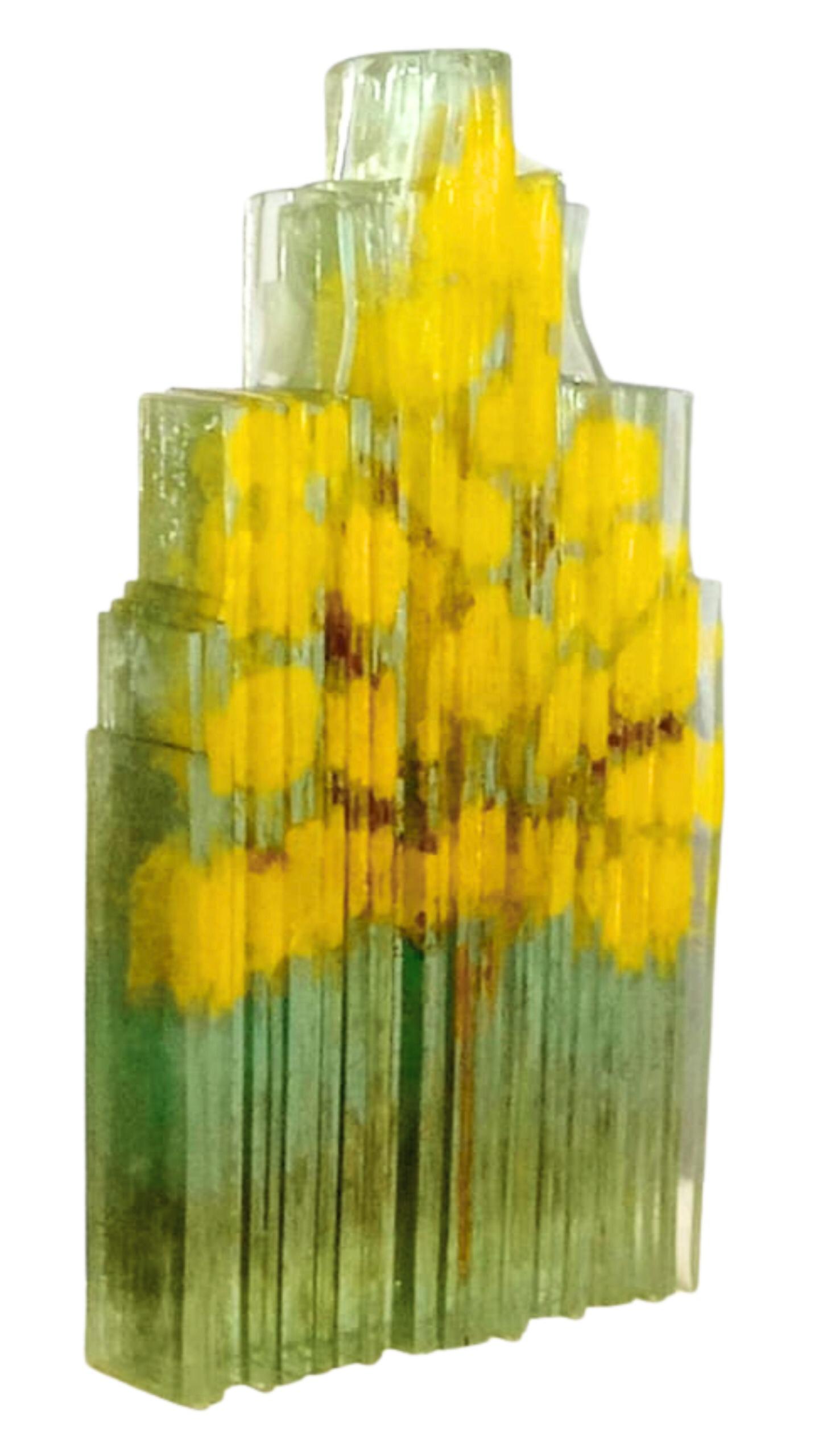 Lâminas de Ipê Amarelo